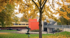 Verdejo apud la domo Wiesbaden_JunularaGastejo